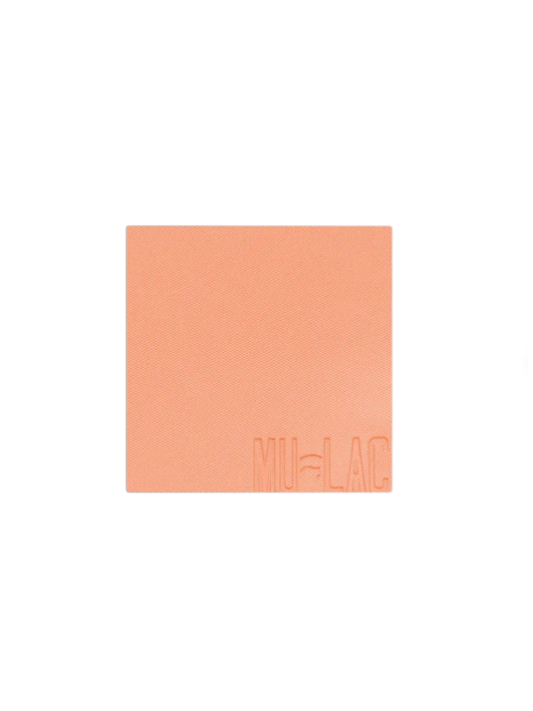 116507-POLVERE-COMPATTA-PER-GUANCE-WINNIE-01.png