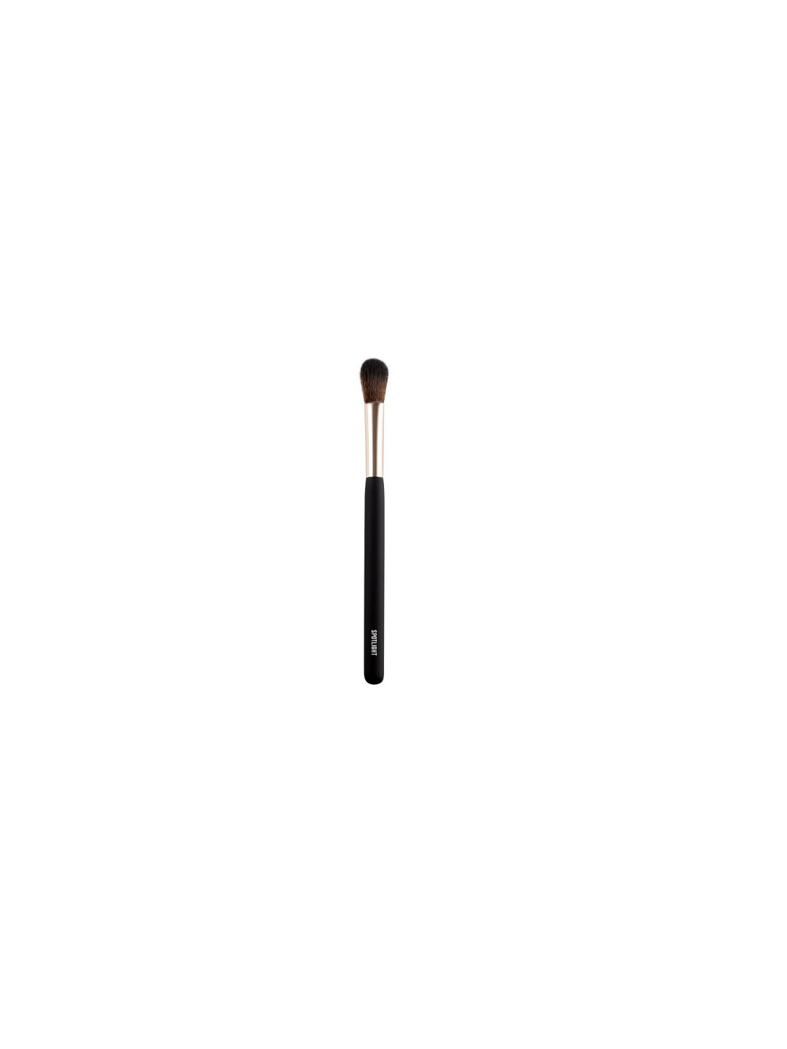 116784-FACE-FACE-SPOTLIGHT-04.png