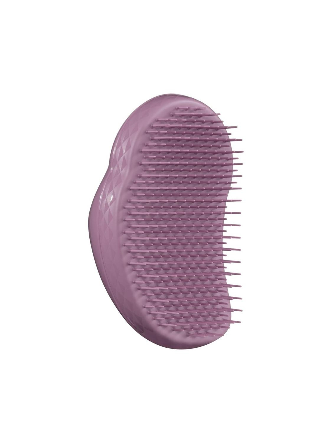 151135-TT-ORIGINAL--PLANT-BRUSHPURPLE.jpeg