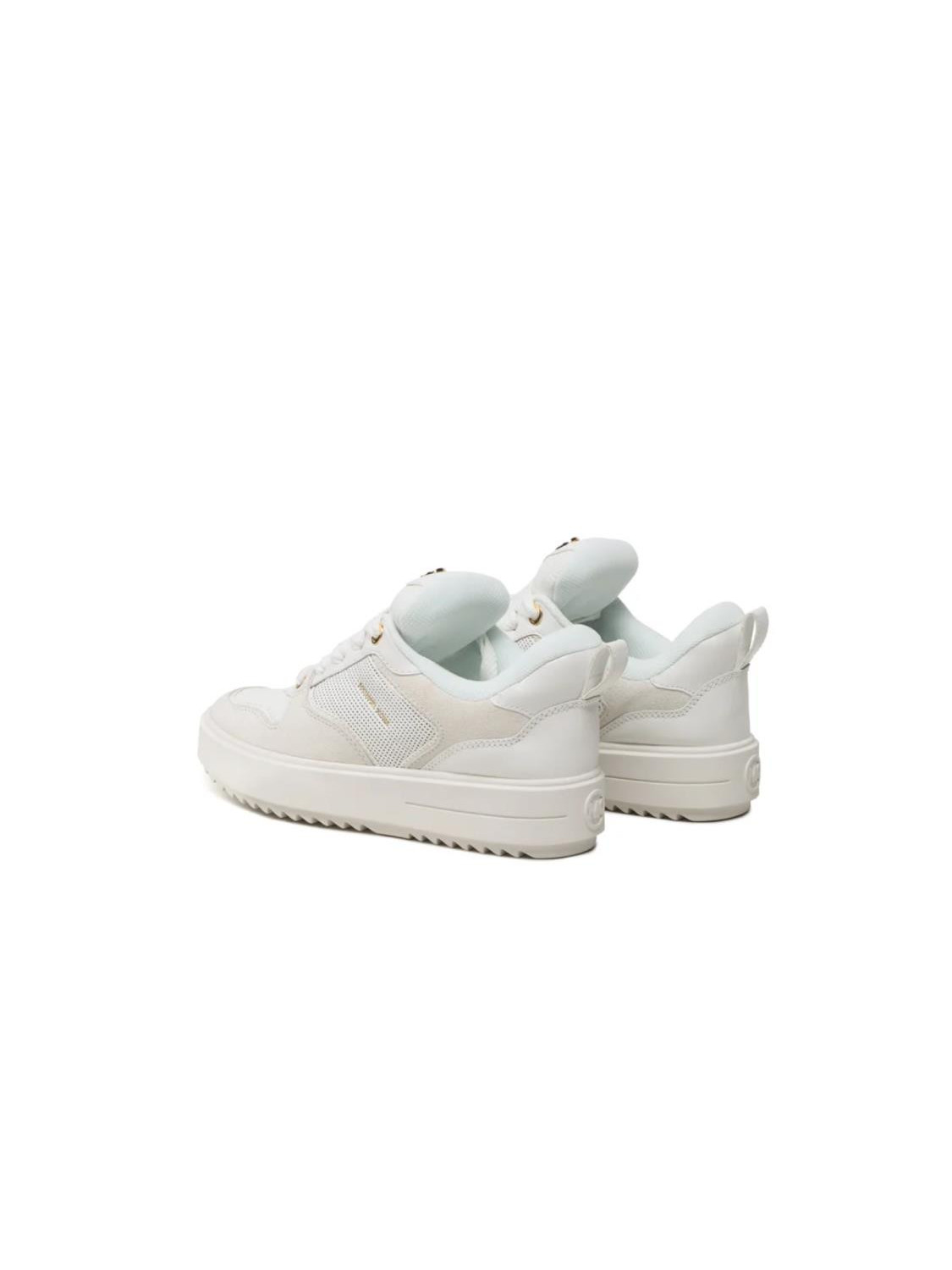 121061-SNEAKERS.png