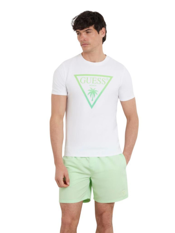 136902-Tshirt-Guess-F4GI00J1311.png