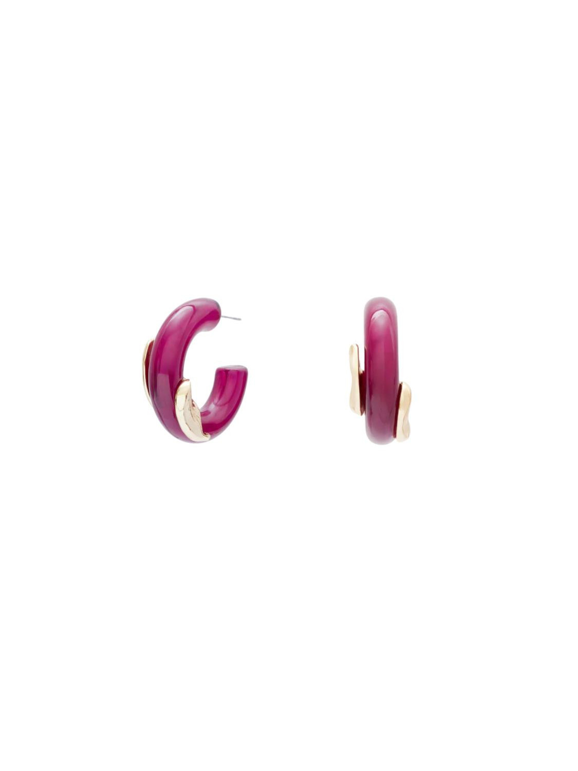 143909-ORECCHINI-ELY-CERCHIO-RESINA-NALI.png