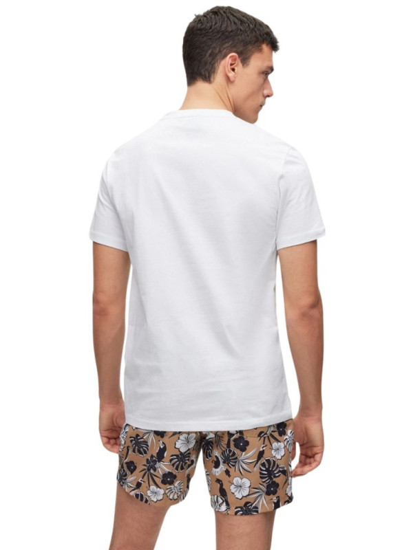 160076-Abbigliamento.jpeg