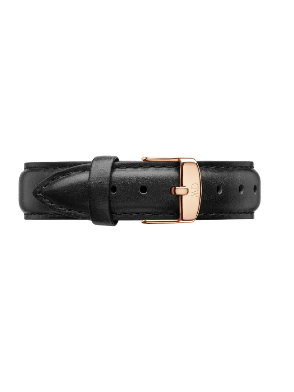 99507-Cinturino-Daneil-Wellington-18-mm.png