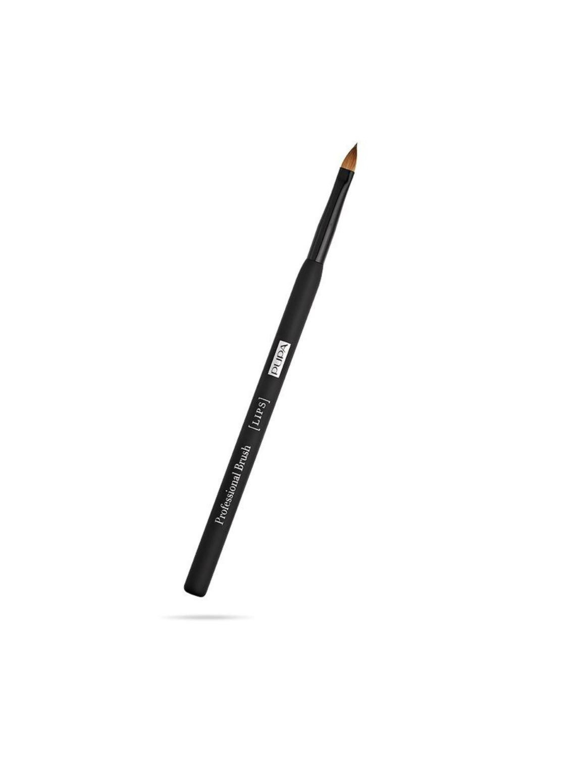 152574-PUP-PENNBRUSH-LABBRA.jpeg