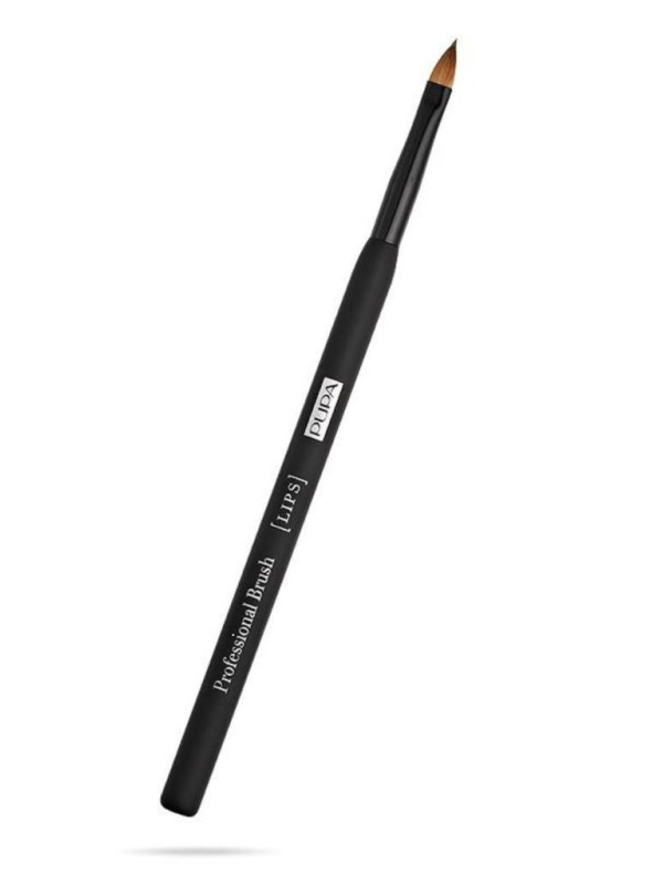 152574-PUP-PENNBRUSH-LABBRA.jpeg