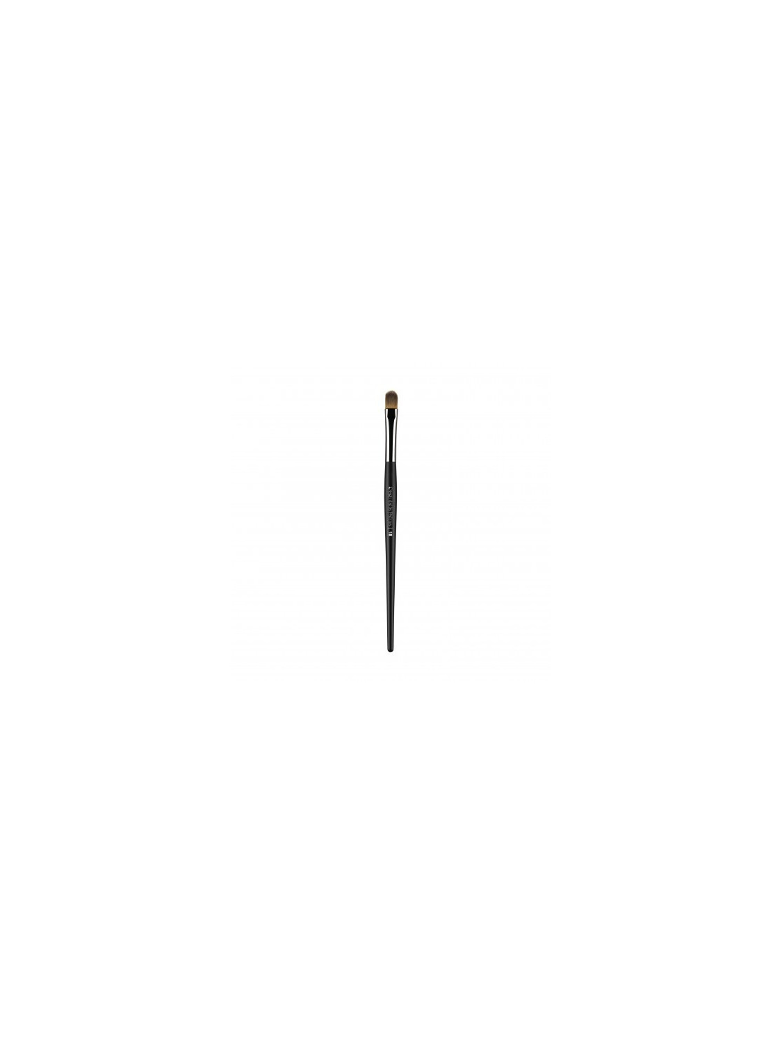 39600-DIEGO-DALLA-PALMA-PENNELLO-CORRETTORI-ED-ILLU.jpeg