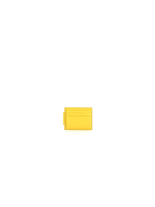 48632-iNSERTO-PORTA-MONETE-E-PORTA-CARTE87309.jpeg