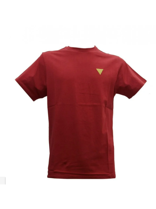 96005-TShirt-Guess-F0BI00K8HM0.png