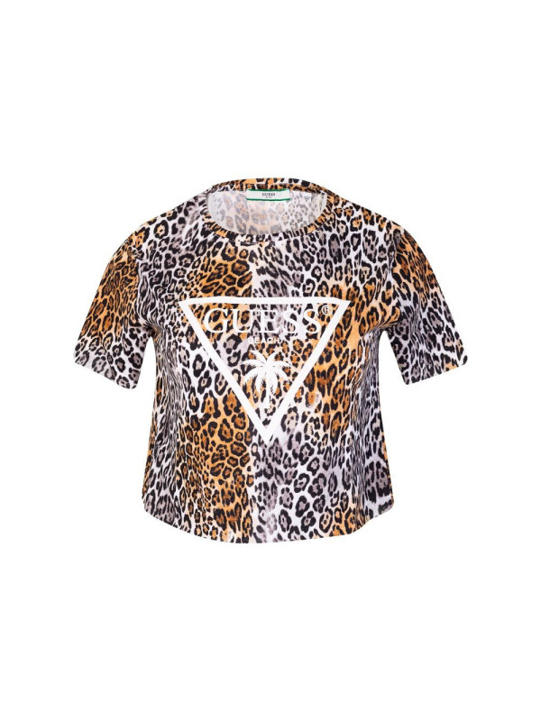 53993-CROPPED-TOP.jpeg