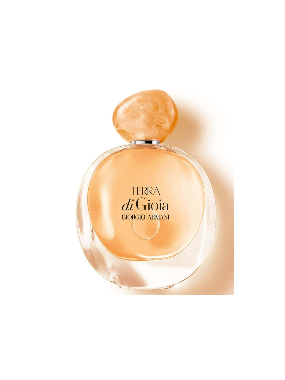 105153-ARM-AGIOIA-TERRA-EDP-V50.png