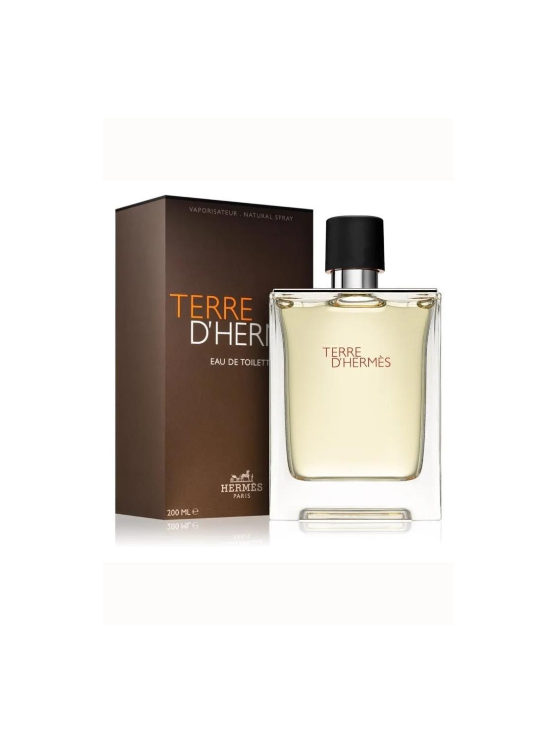 127161-HERMS-Terre-dHerms-Eau-de-Toilette--200-ml.png