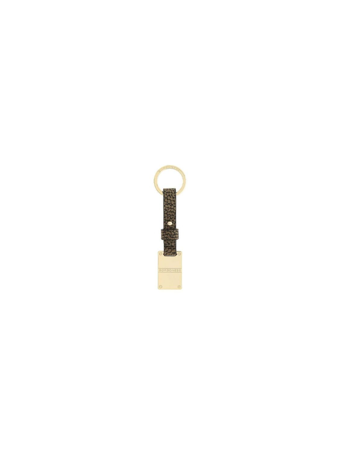 93248-Pelletteria.png