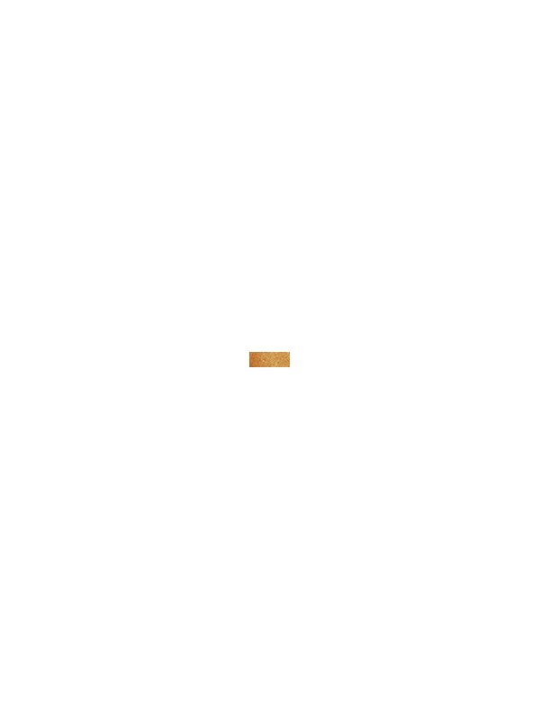 96980-PUPA-SIERO-UNIFORMANTE--PRIMER--ILLUMINANTE-V.png