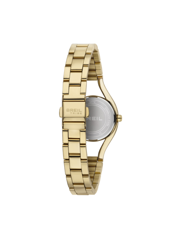 102089-Orologio-Brail-Tribe-42MM-EW0596.png