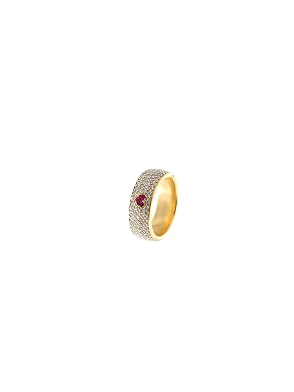 104461-ANELLO.png