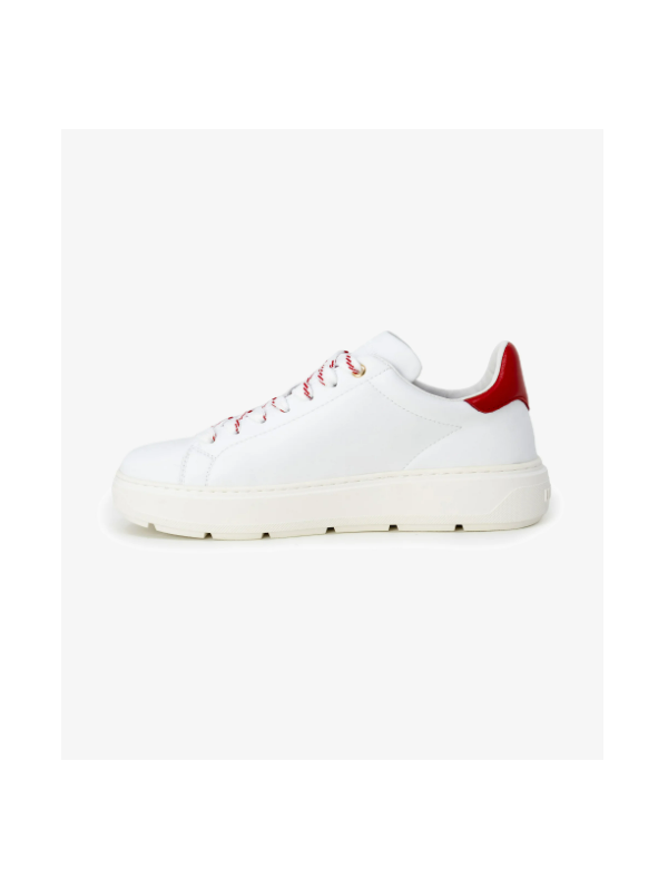 107033-SNEAKER.png