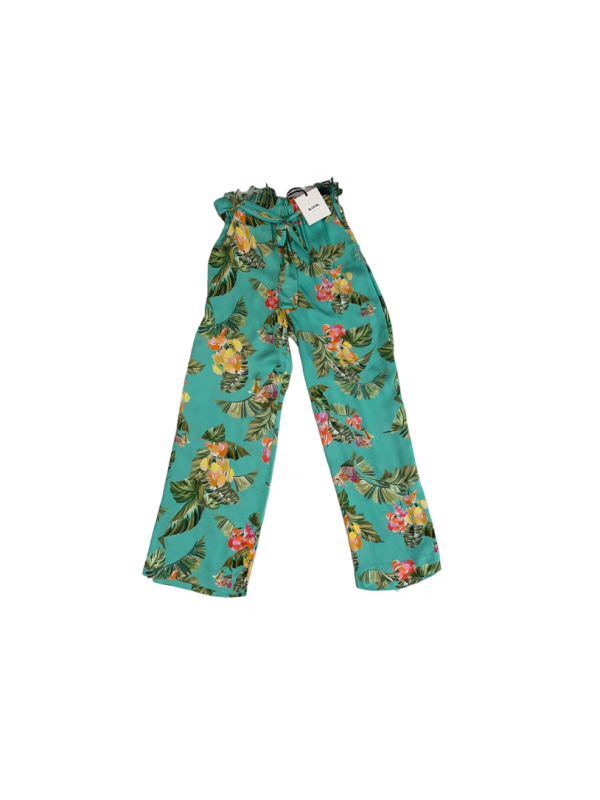 116852-Pantalone-Blugirl-FA3012-T3376.png